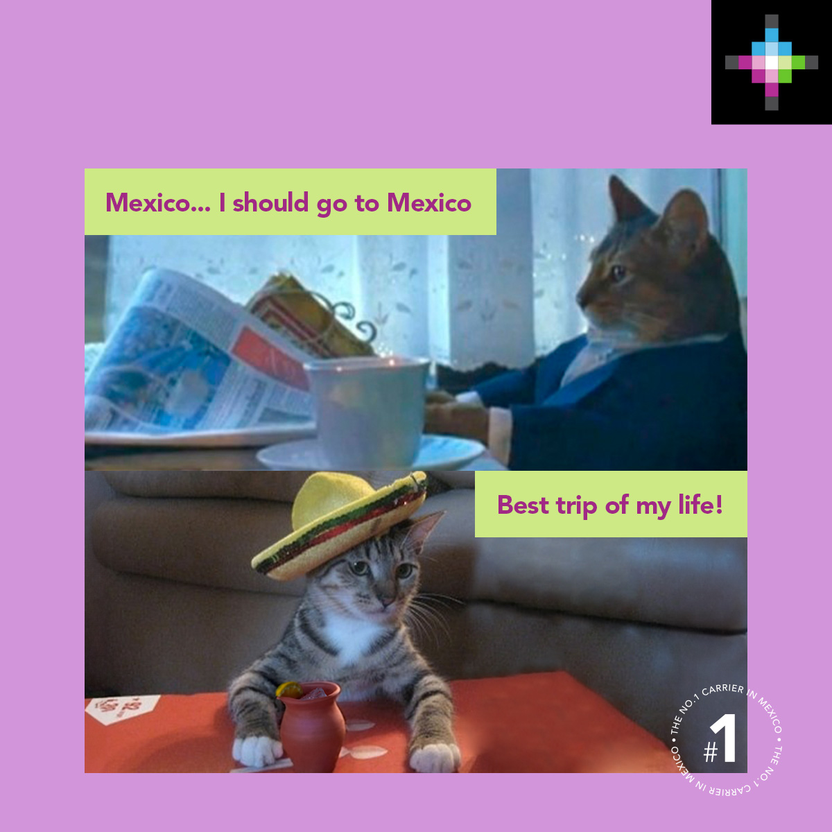 Mexico is always the way to go, no matter what! Ready to make it happen with Volaris? Book now bit.ly/3S9J6Pq