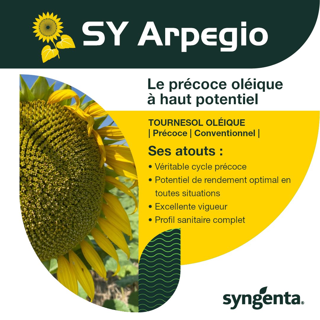 SyngentaFrance's tweet photo. [#Tournesol 🌻]

SY Arpegio offre aux producteurs de tournesol précocité, performance et stabilité. SY Arpegio c'est aussi une promesse de rendement confirmée dans les essais. Pour en savoir plus 👉 https://t.co/BaGjnPb0kx

Les atouts de SY Arpegio 👇 https://t.co/Lpo2XoXLJq