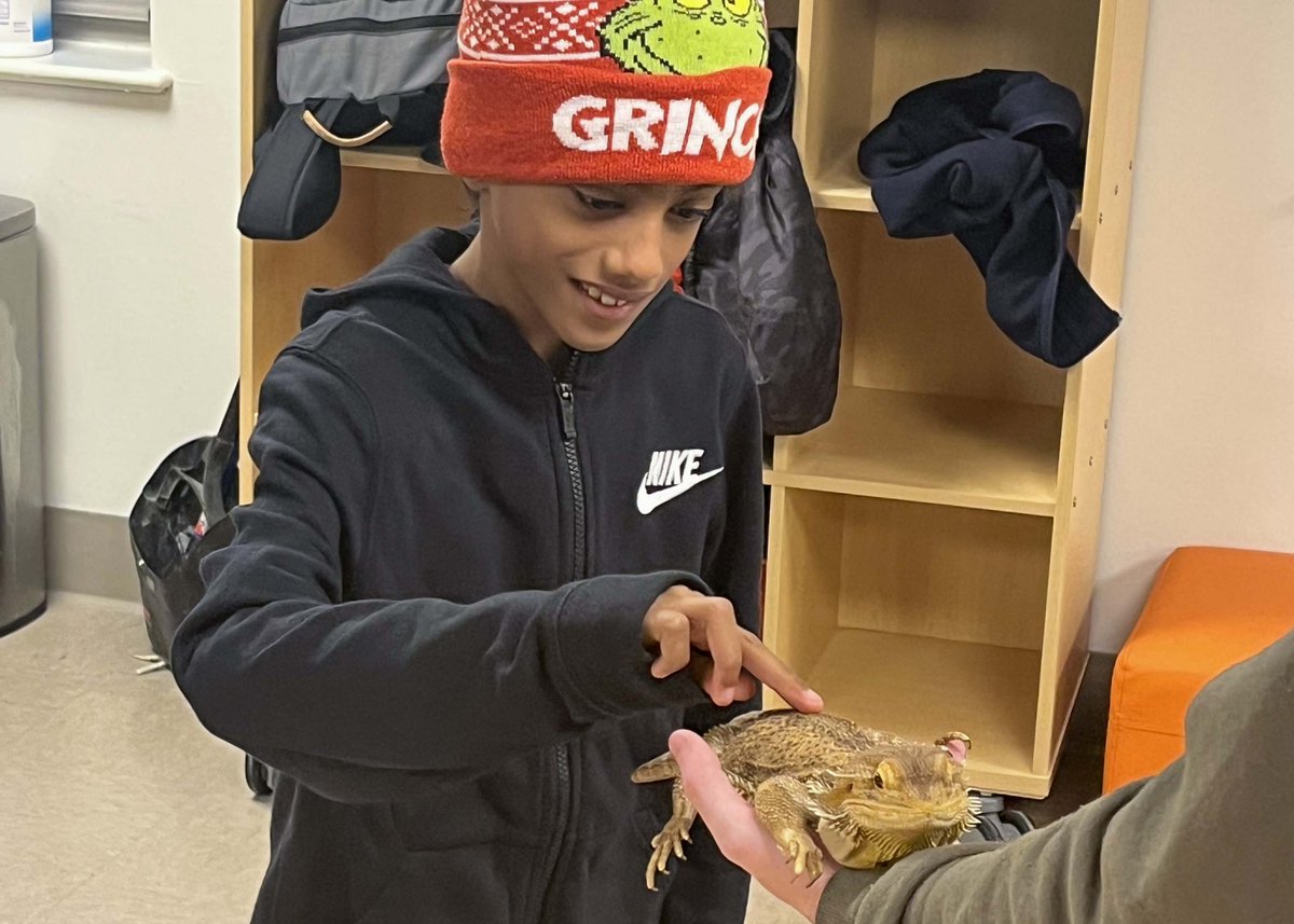 HFH_NYC's tweet photo. As part of their recent weekly animal lessons with Mr. K, #AlliesGators received a special visit from @GreenburghNC. They met a collection of critters & learned fun facts abt their lifestyle.๐ฆ๐ Read more: https://t.co/WA3vtY7nY4 #APAfterschool #Afterschool #Bronx #NYC https://t.co/3swgc77FFN