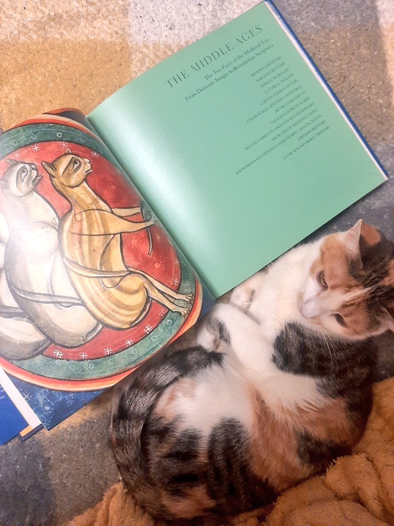 mora_remy's tweet photo. агов, тут 💫РОЗІГРАШ💫
моя подруга розігрує книги за донат 
50 грн - один квиточок, 100 - 2 і т.д., скрін донату і ви зможете обрати будь-яку книгу до 600грн
а найбільшому донатеру подаруночок від мене, ось ця книга "коти в мистецтві"
посилання на банку https://t.co/L7VbVQFOjq https://t.co/9LQYAQkXlr
