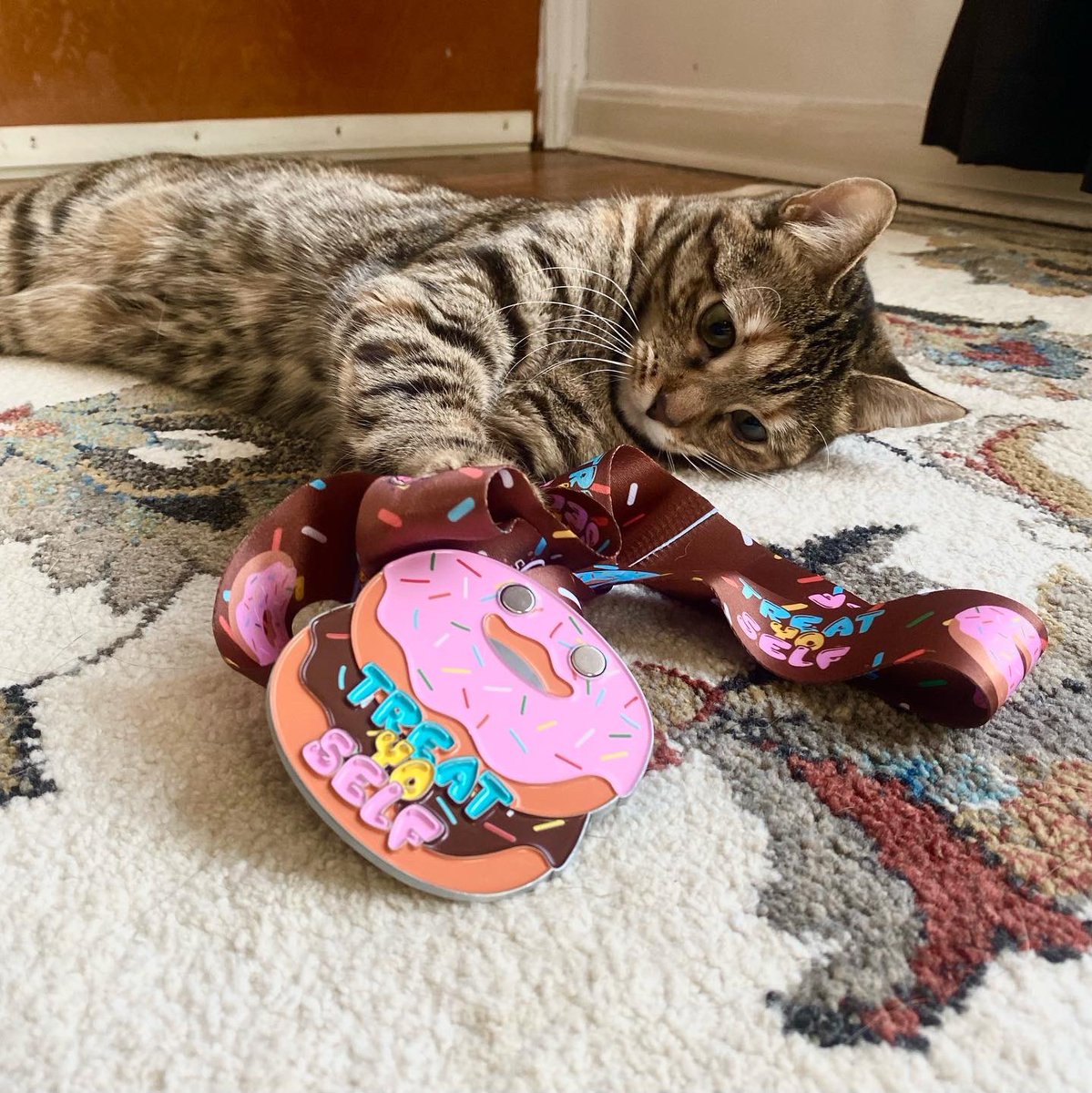 🍩 Treat Yo Self to this delicious 5K race at <a href="/Brewnuts/">Brewnuts</a> on April 21 and earn the first piece of the 2-part medal connector. 🍩 This race now benefits the Cleveland Community Cat Project! 

#treatyoself 
#brewnuts
#thisisce
#runcle