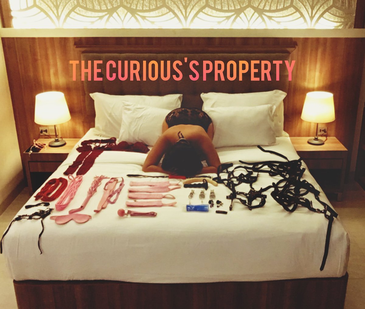 Mr. Curious-M tweet media