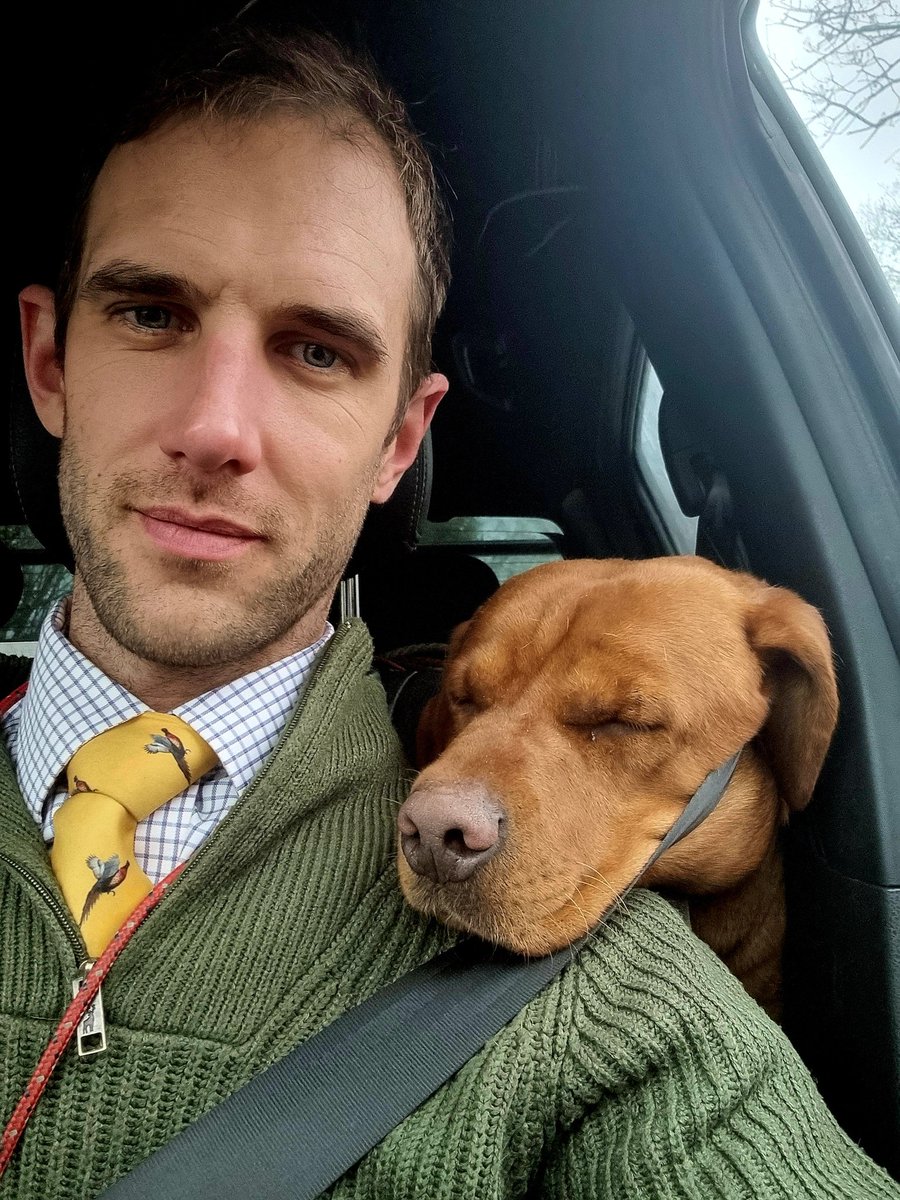 ACountryChap's tweet photo. Another successful end of season mini driven / walked up day with a couple of bonus Canada Geese.
I think #BigGingerDog is tired judging from the sleeping position on the drive back home!
#WalkedUpShooting #RoughShooting #BeatersDay #GameShooting https://t.co/5OpDW6fIxS