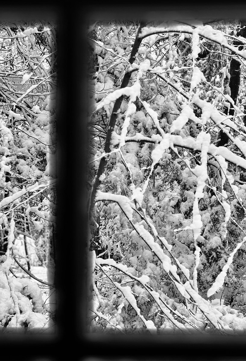 sahraakarimi's tweet photo. #برف
#Snow
#MacDowell https://t.co/zXdsxzLIUc