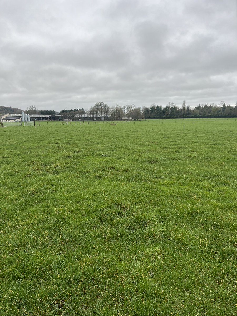 4th walk of the year done ☘️ Growth steadily increasing📈 Soil temp 6.3-6.8 degrees 🌡️ Ground conditions 🌊💦 Awaiting our first calves🐄