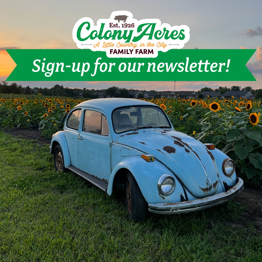 Follow along with us and stay in the loop on all of the farm-tastic fun coming your way in 2024! 🚜✨ Don’t forget to sign up for our newsletter at colonyacres.farm for exclusive updates, event details, and special offers straight to your inbox.