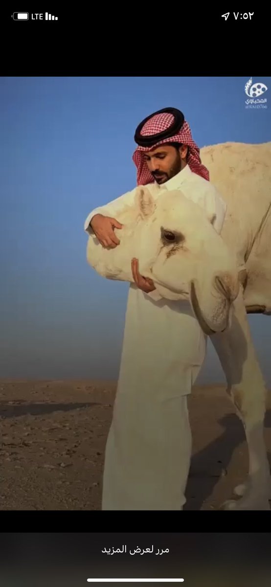 hoood_q8's tweet photo. محبوبتي الفاتنه مشتق منها القمر
ضاهو دلعها التروف وحوّلو من عِلي

تثمل عيوني الكواعب والقميص الحمر 
ويرخي صلافيح قلبي صوتها المخملي

فردوسٍ اعلى على طرّاف موتٍ حمر
فيها البلا للشلي والطب للمبتلي

كنها بيوتٍ حبكها الساحر ابو عمر
ونفث عليها سعود مبارك المشعلي

هود :) https://t.co/JF6UZSE2ul