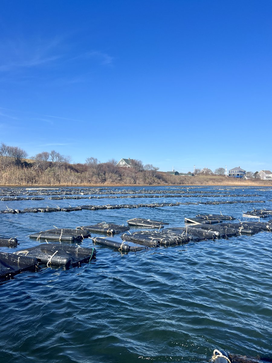 BlockIslandOrganics tweet media