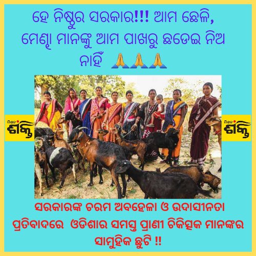 OVSA_DHENKANAL's tweet photo. All Livestock are severely affected and many WSHGs are financially broken due to huge loss. @CMO_Odisha @MoSarkar5T @farddept @dahvsodisha @rajaaswain @districtadmndkl @otvnews @samajalive @sambad_odisha @DharitriLive1 @NEWS7Odia @kanak_news @PragativadiNews @SakalaNews https://t.co/pYE8UzEjD0