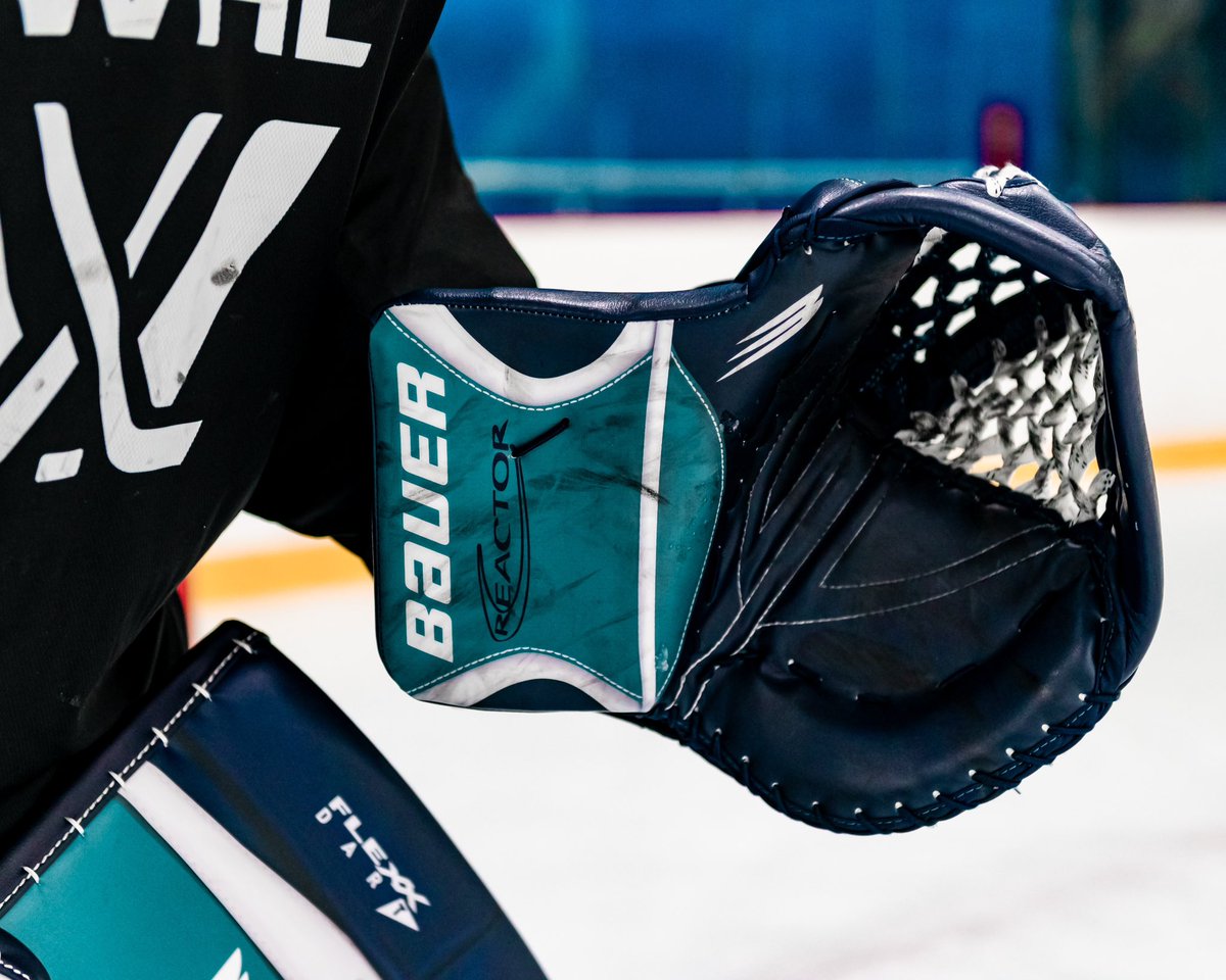 This is for all those goalie gear nerds out there! <a href="/PWHL_NewYork/">New York Sirens</a>