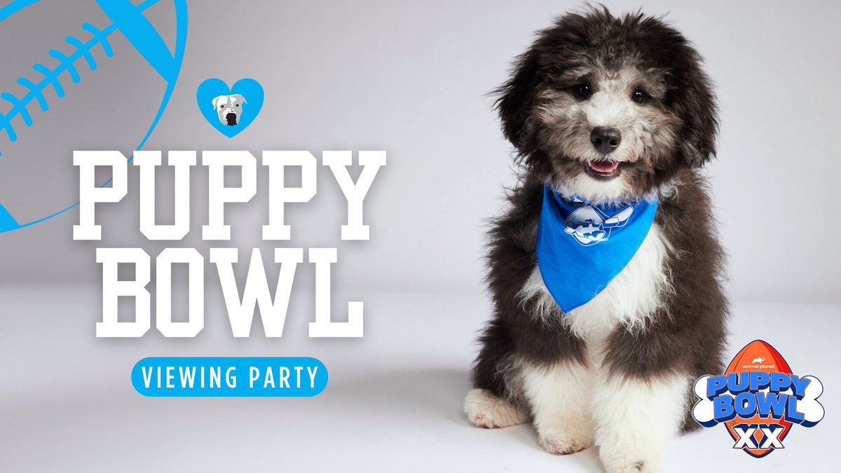 We have puppies in this year's #PuppyBowl! We're hosting a Viewing Party on Feb 11th from 12-4pm at Park & Field. Watch the game, score OTAT merch, and enter to win raffles. Did we mention there will be puppies?! Grab your ticket: bit.ly/3GTAmaF