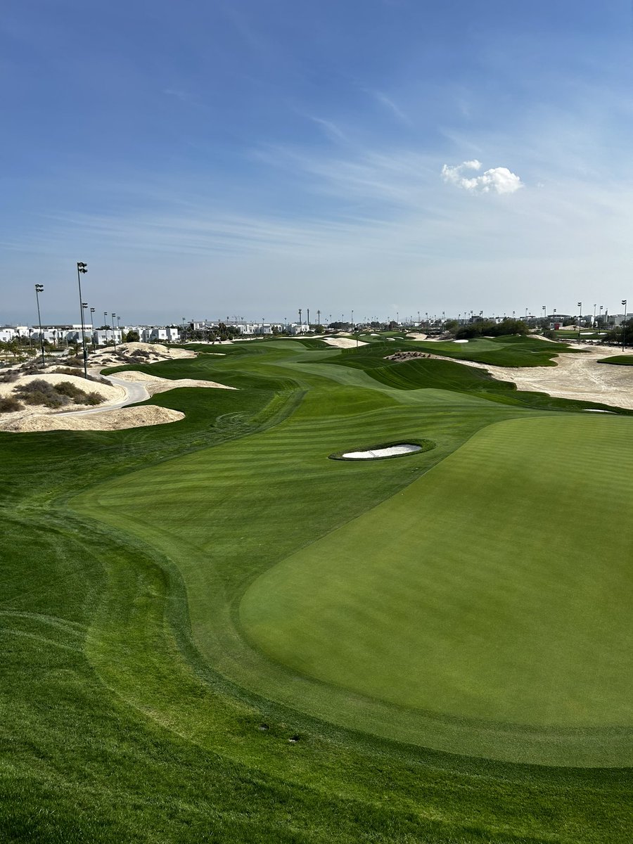 Jamie Faulkner tweet media