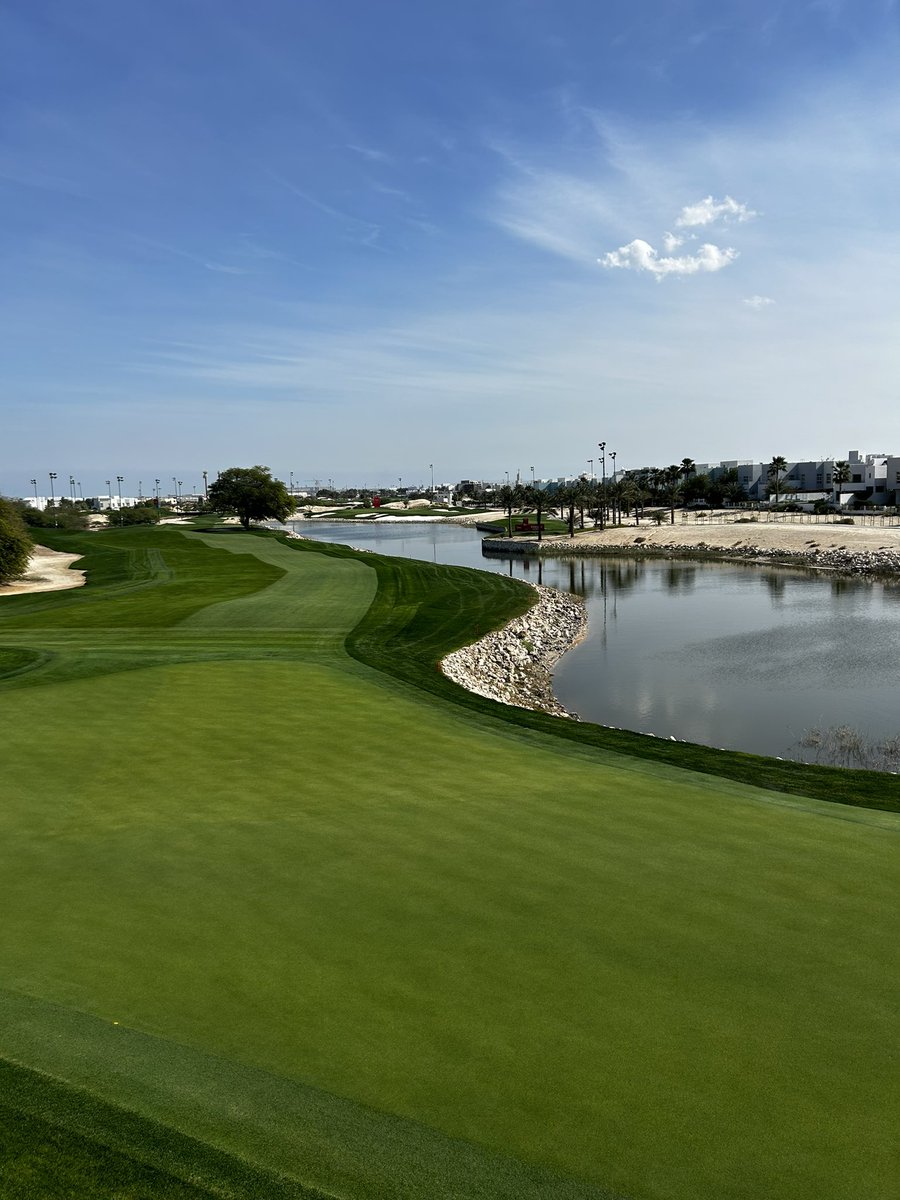 Jamie Faulkner tweet media