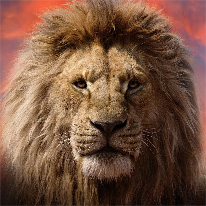 Control Z 🥑 tweet media