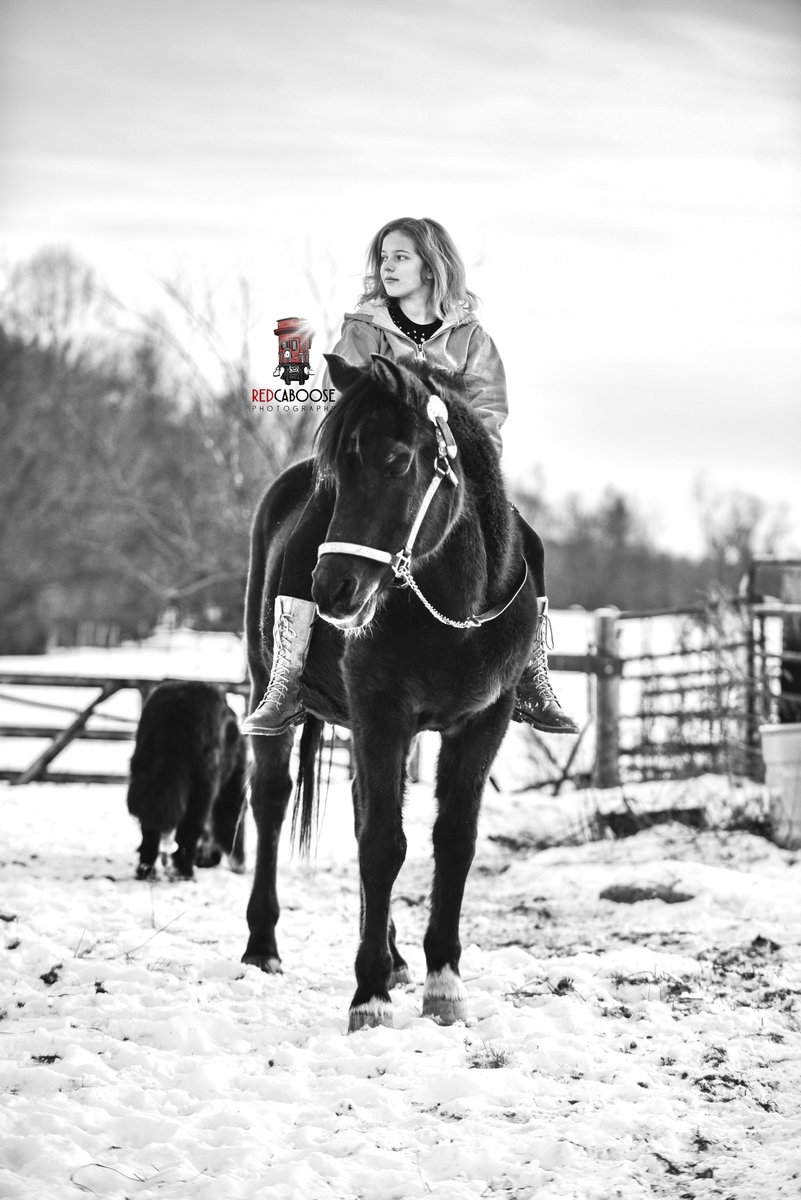 RedCaboosePhoto's tweet photo. Stallions &amp; Snow Days
Blessed to work with the best stallion ever!
Interested in your own pet or pet and owner session? Shoot me a message! https://t.co/y8hNaYNXl0