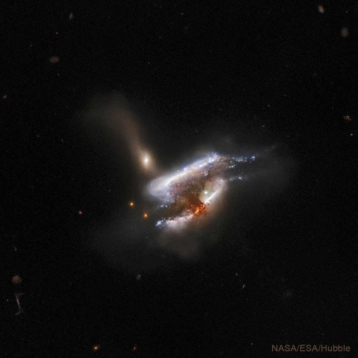 Chandra Observatory tweet media