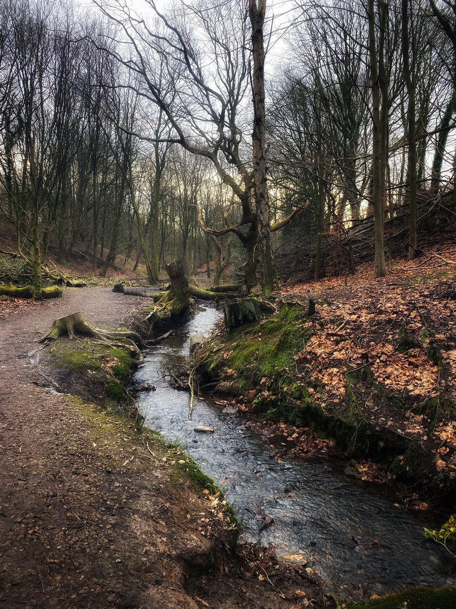 joymarie_h's tweet photo. #exploremore #gooutmore #gooutside #natureart #fairyglen 🌿 https://t.co/Vmdsypf7n9