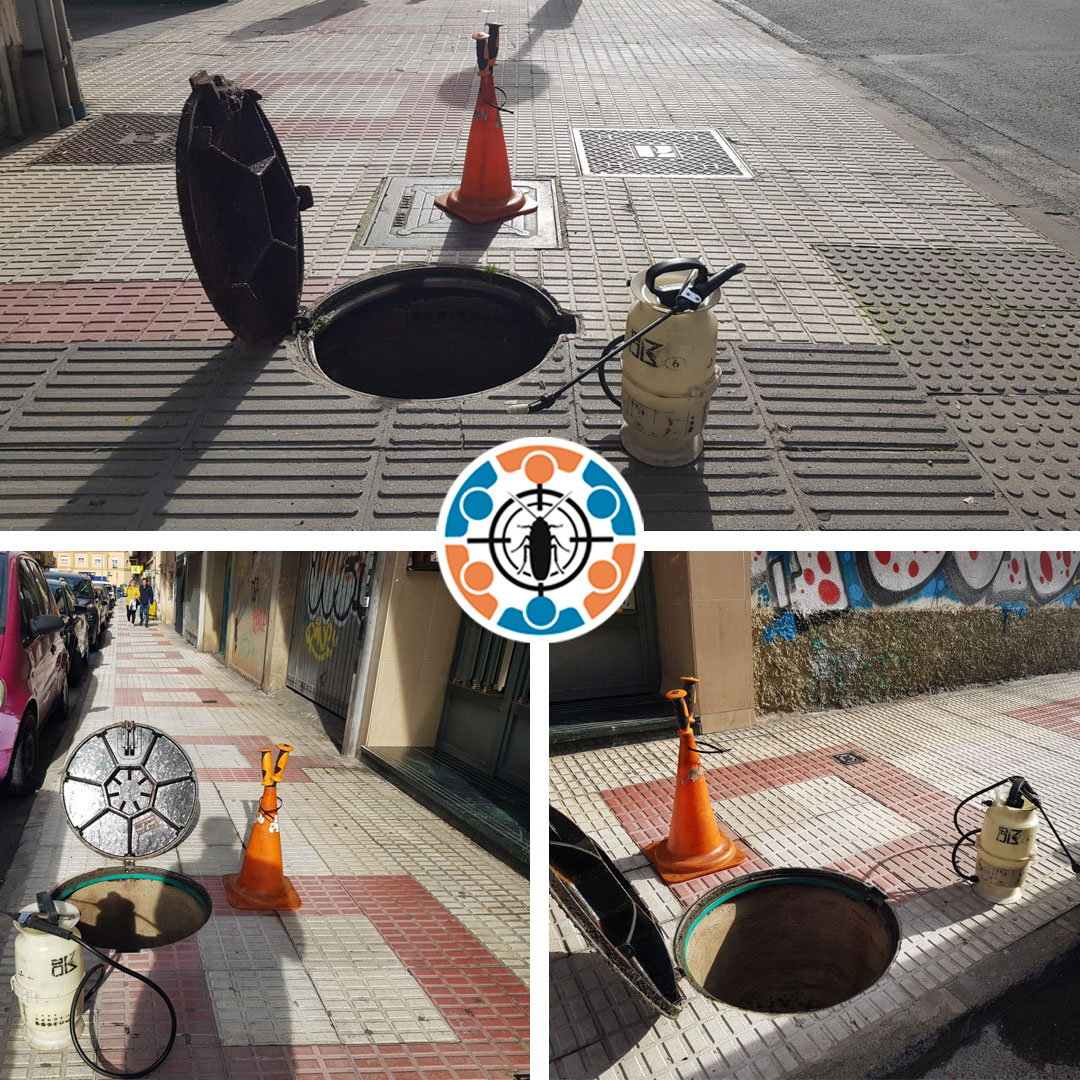 📸Actuación del equipo de #GestiónPlagas🪳 <a href="/Ayto_Caceres/">Ayuntamiento Cáceres</a> 

📲Tras recibir aviso de presencia de insectos en una alcantarilla en:

📍C/ Salamanca y alrededores

#CáceresSiempreLimpio🦺
#ConyserContigo🧡💙