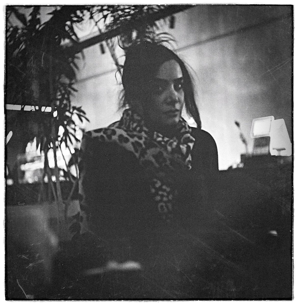 GM/GN  fam 
🕊️🕊️🕊️🕊️🕊️
Photo by <a href="/Sean_Jaanson/">itsByShan.eth</a> 

#nft #tezosart #nftcollector