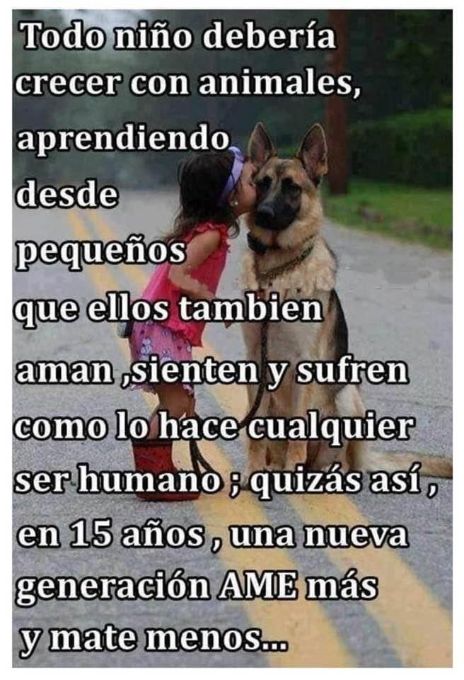 CamaraBalam's tweet photo. Sería lo ideal. https://t.co/t4QwZm7P22