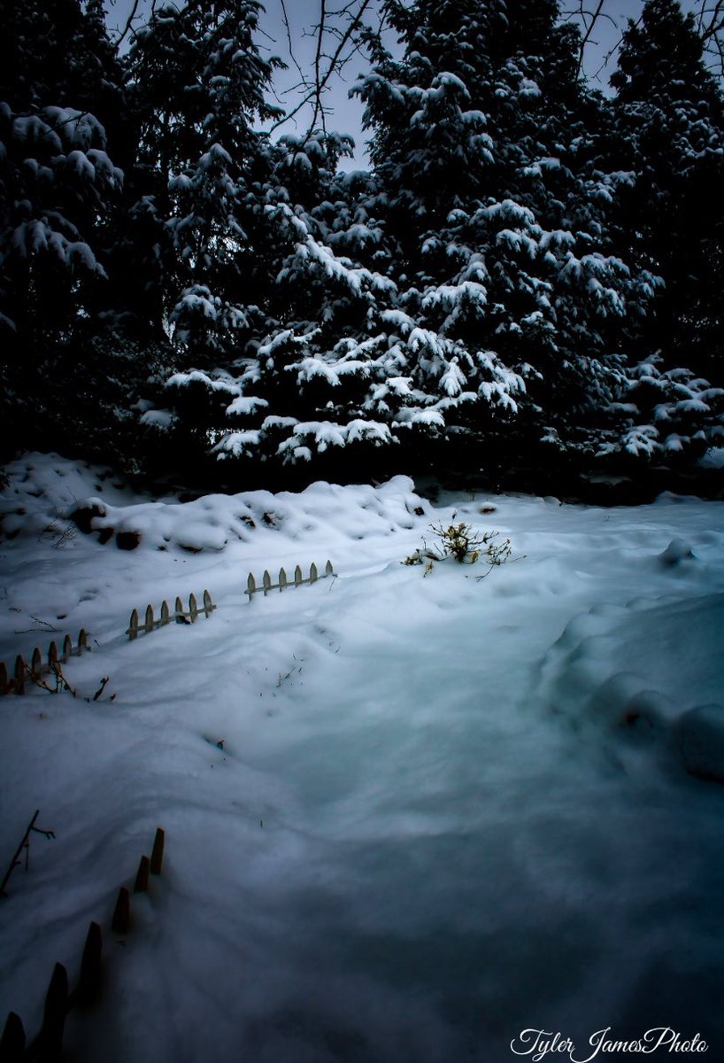 TreeK412's tweet image. Gonna start posting my photography on here 

neXt up 

TylerJamesPhoto