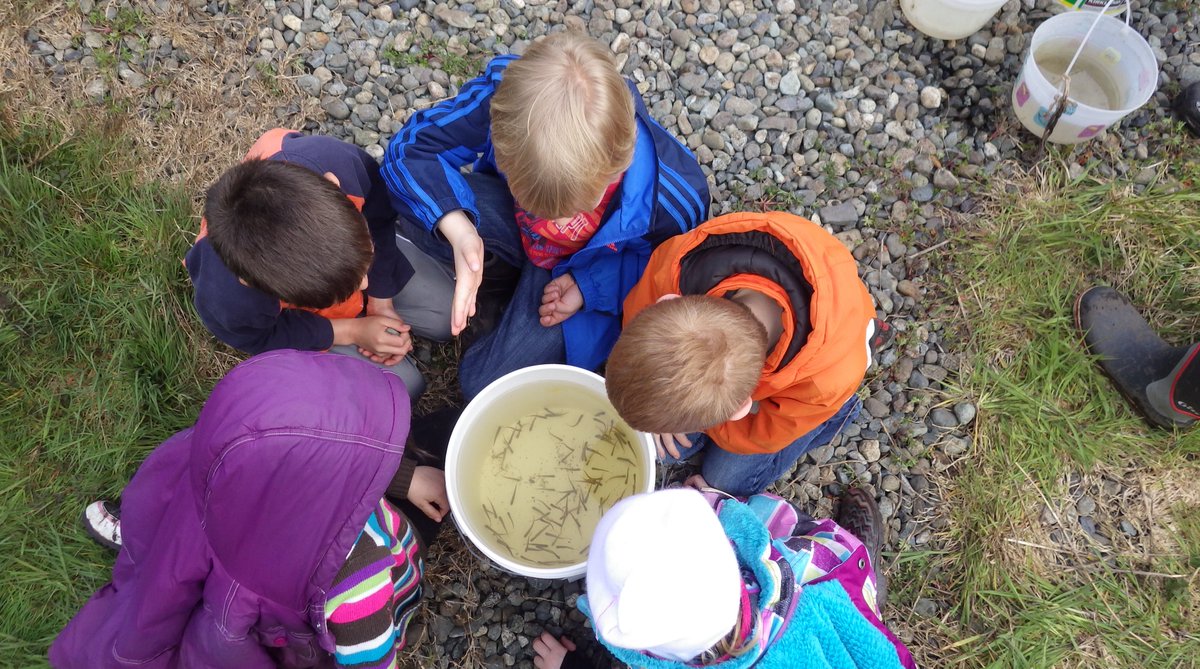 Our place-based and hands-on Environmental Education programs bring learning to life. Book now and let the journey begin! 
peninsulastreams.ca/our-work/educa…
#EnvironmentalEducation #PeninsulaStreamsSociety