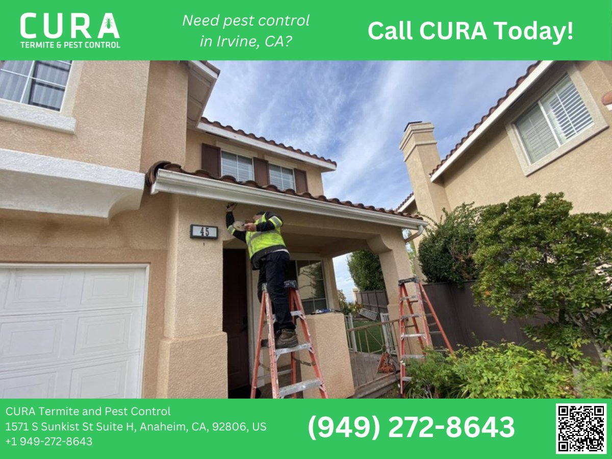 Serving Irvine, CA, and the entire Orange County, our dedicated team is just a phone call away. 

Experience the CURA difference – call 949-272-8643 now and let us handle your pest problems swiftly and effectively. 

bit.ly/48YsnWQ