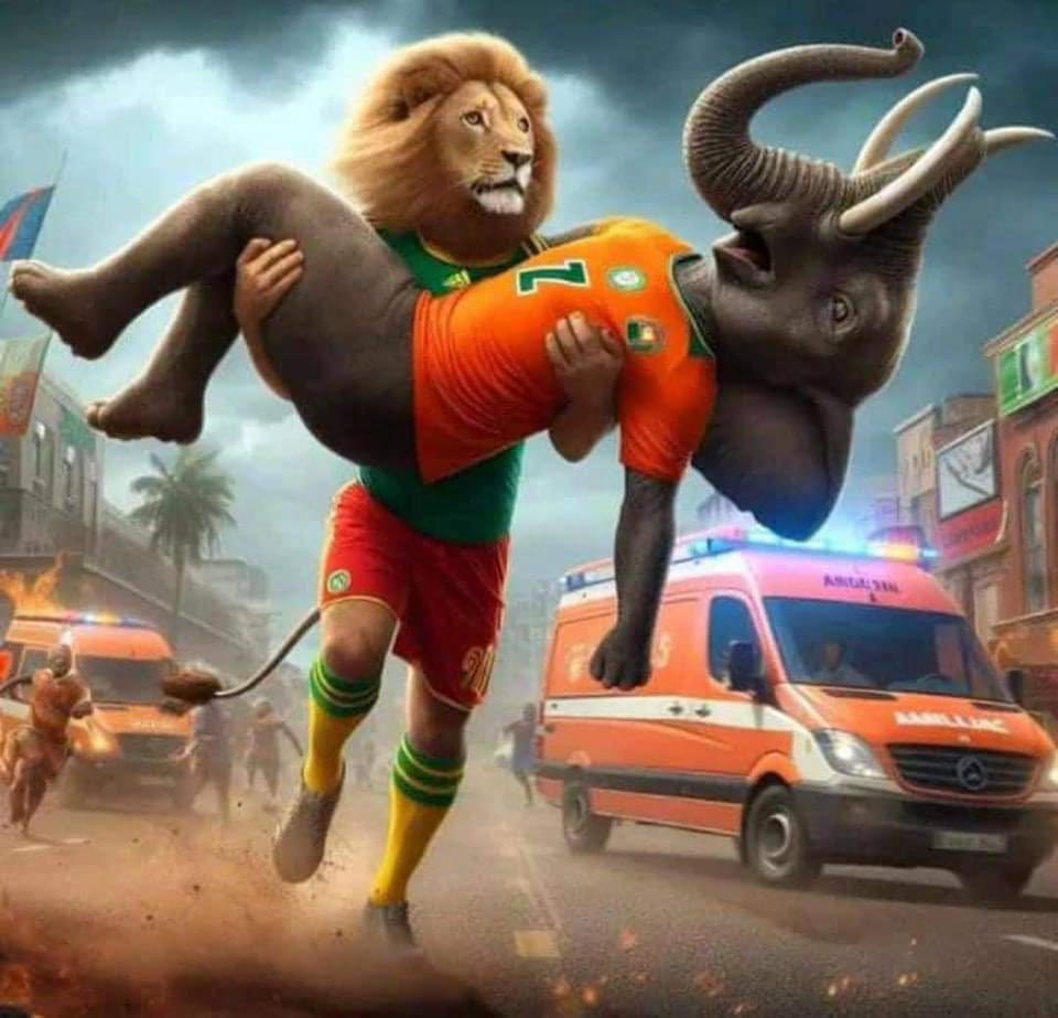 Bravoooo les beaux 🇨🇲🇨🇮 #CotedIvoire #Can2023 #cameroun #diouf #mdrrrr