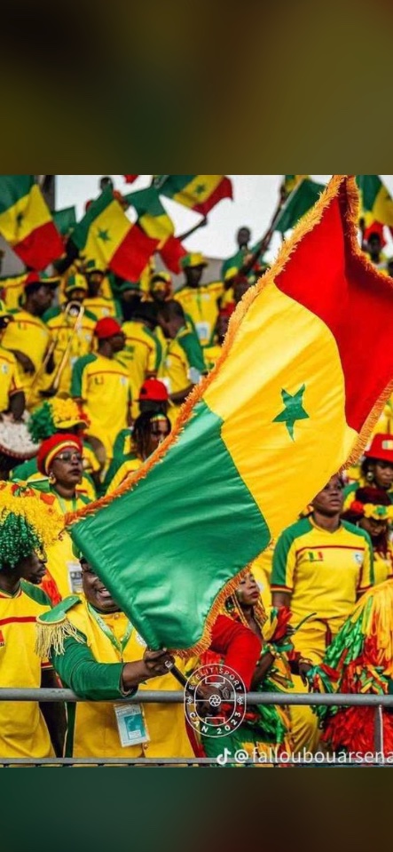 sowastou10's tweet photo. Le lion est blessé mais pas mort 
L’échec fait partie du jeu surtout le foot 
Ainsi la vie vous nous avez fait rêver les lions https://t.co/2pvfyjGyVG