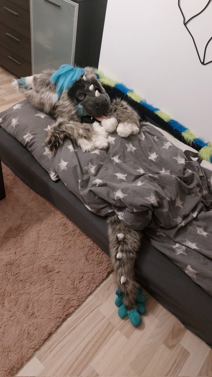 Goodnight Tuffy ✨️🌙
#furry #fursuit #fursuiter  #dutchangeldragon #dutchangeldragonfursuit #fursona #dragonfursuit #fursuitmaker #polishdutchangeldragon #polishfurry #polishfursuiter #polishfursuit