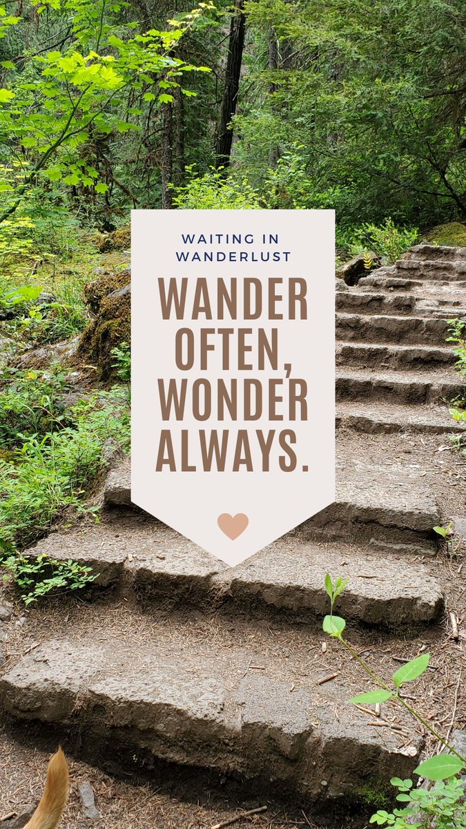 WaitinginWander's tweet photo. https://t.co/FscxAe6o6q https://t.co/h537w28y8l