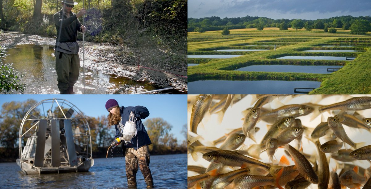 The Kansas Biological Survey &amp; Center for Ecological Research, in collaboration with the Department of Ecology &amp; Evolutionary Biology at KU, is searching for a Freshwater Research Ecologist. Review of applications begins March 1st. employment.ku.edu/staff/26968BR