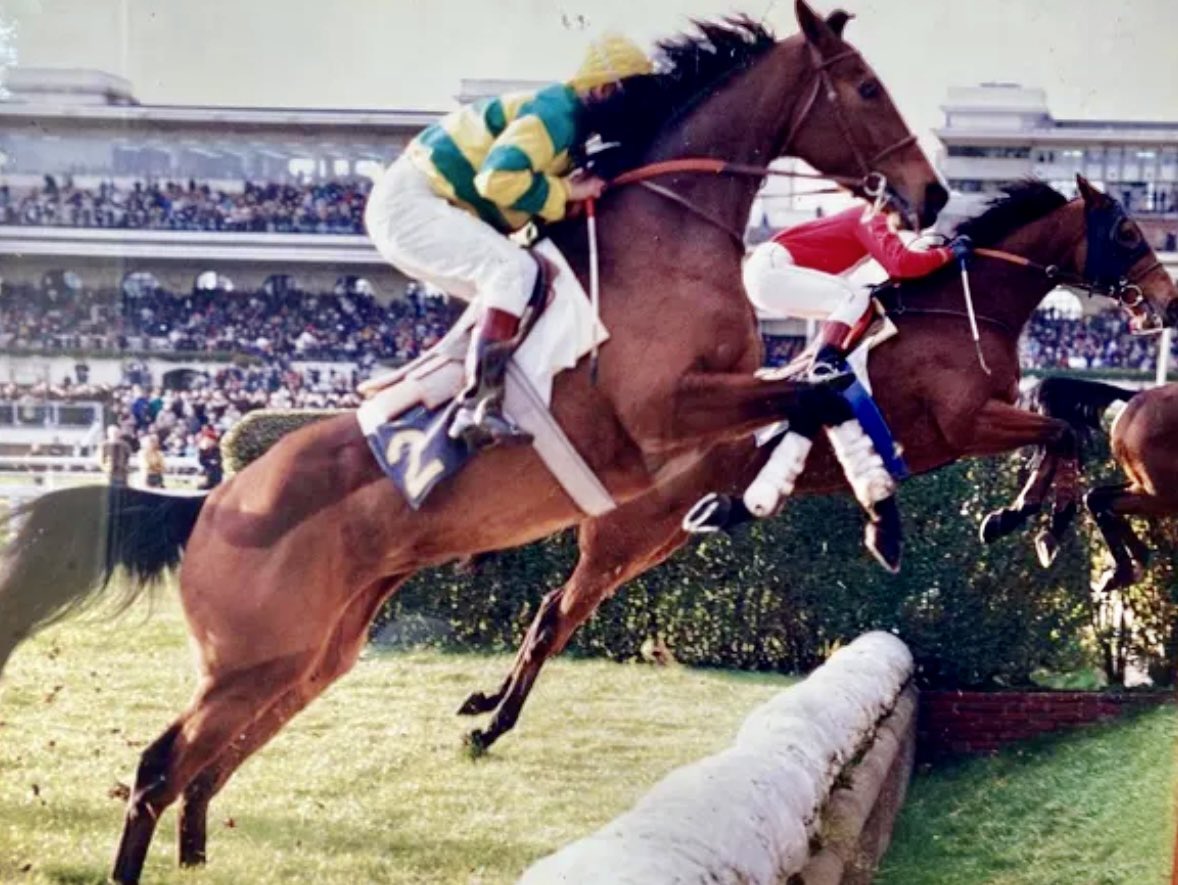 🎯🐎Franckyfoot 28 🎯🐎 tweet media