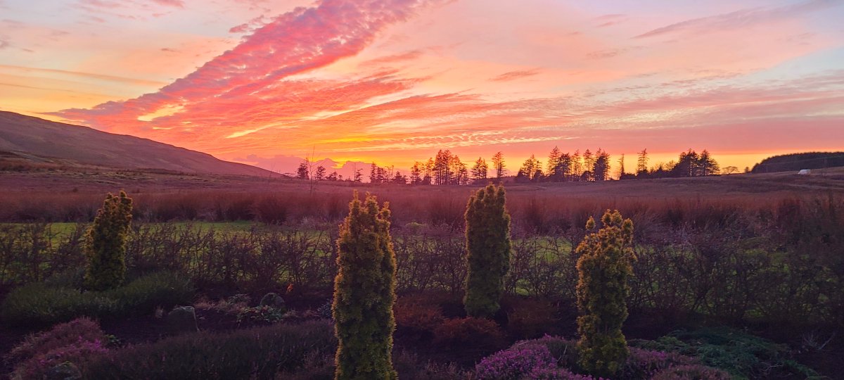 Leaving work tonight we were reminded of how lucky we are to have such a beautiful and serene location here at Clyde Coast.  For some, January is a long dark month, but really, it brings longer days and much needed light into our lives 🧡