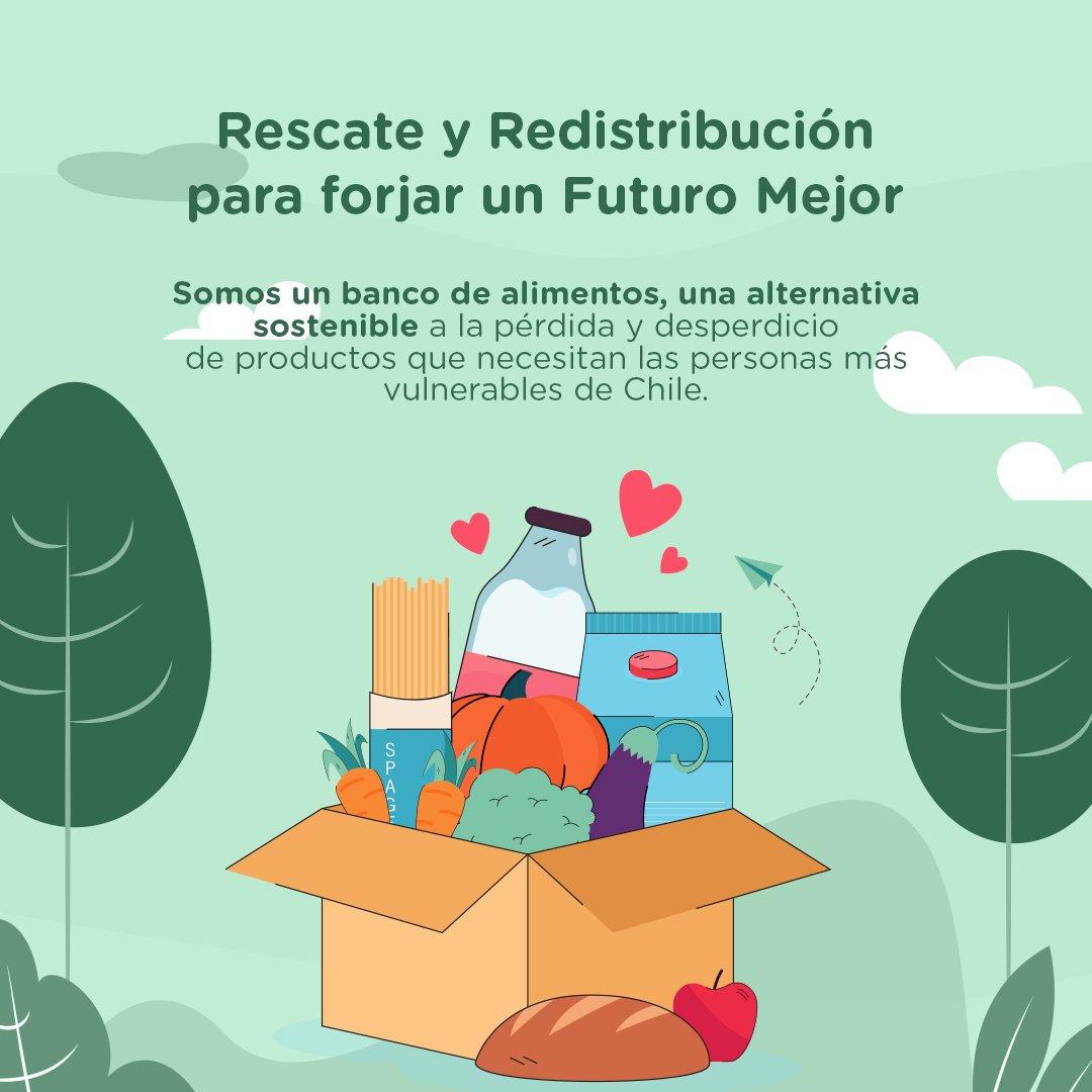 RED DE ALIMENTOS tweet media