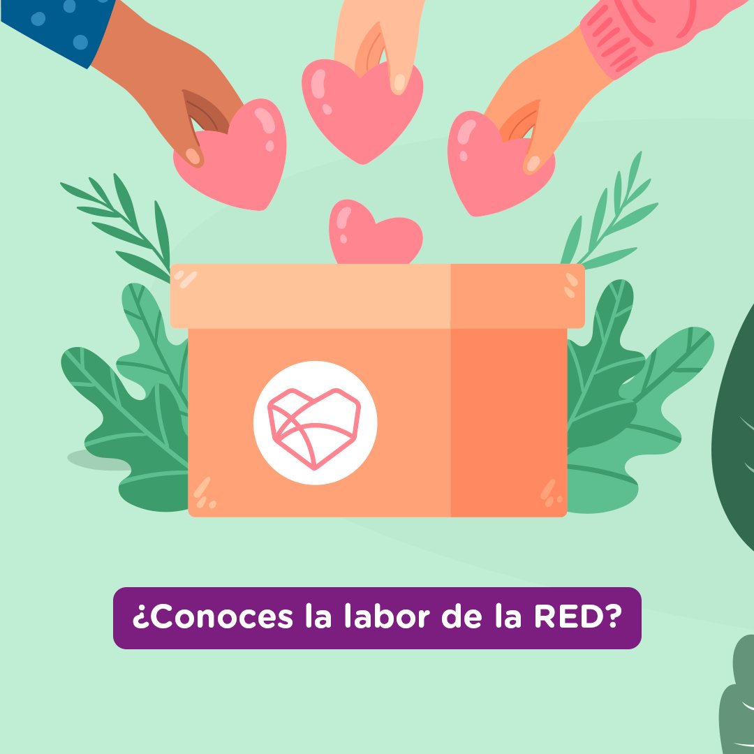 RED DE ALIMENTOS tweet media