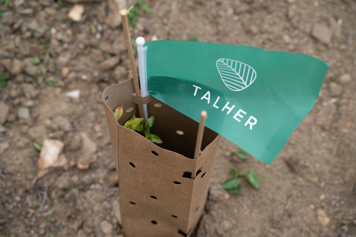 Hoy ha comenzado la plantación de 1200 árboles, en lo que será el primer bosque sostenible de #Benalmádena: pinos, algarrobos, aladiernos y alcornoques junto a acebuches, mirtos y tarajes. En los próximos 30 años absorberán 150 toneladas de CO2. Con <a href="/Clece_/">CLECE</a> y <a href="/Talher_/">Talher</a>