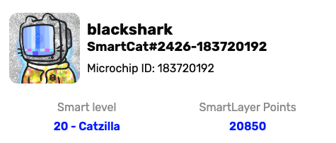BlackShark no ZAMA .base tweet media