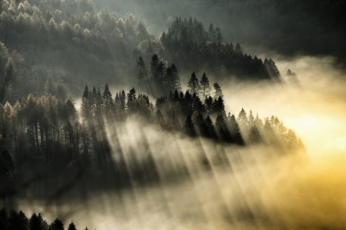 RamblersGB tweet media