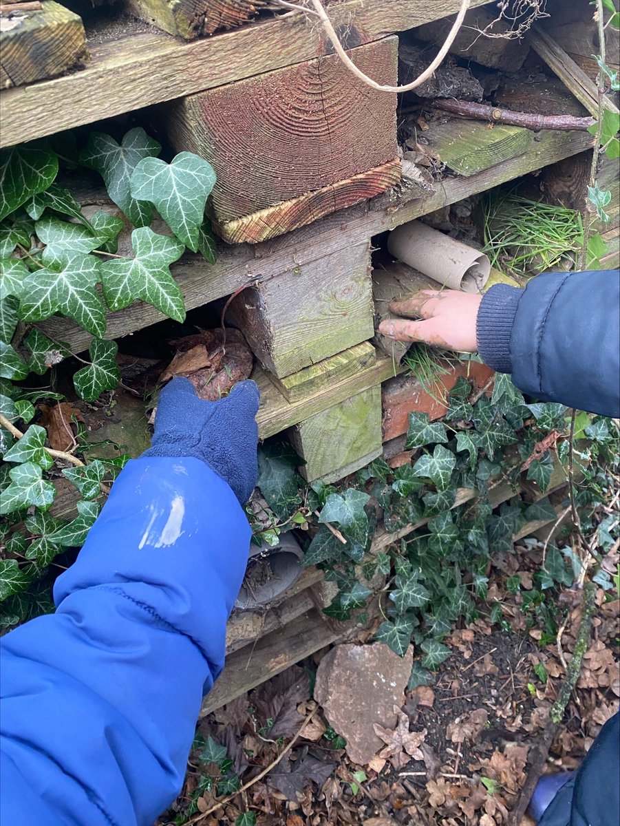 In Forest School, Year 4 had their first experience of a fire this term and toasted yummy marshmallows! They used bread, lard and seeds to make bird feeders and cardboard tubes to create 'hotel rooms', ensuring they were well camouflaged and a suitable habitat for the bugs.