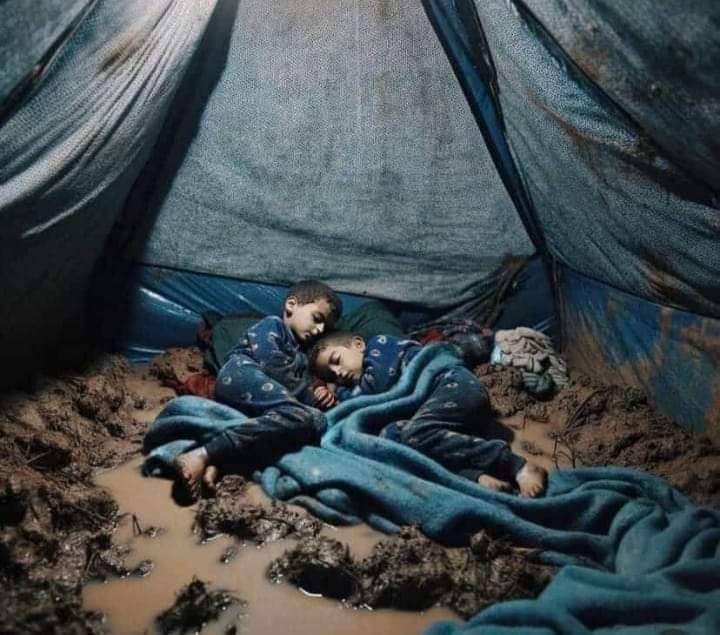 Derdimiz ; #Gazze' li çocukların Çamur içindeki uykusu değil de Pavyonda Ankara havası oynayan #Dilber oluyorsa Vay bizim halimize.... #GazzeStarving #GazaGenocide