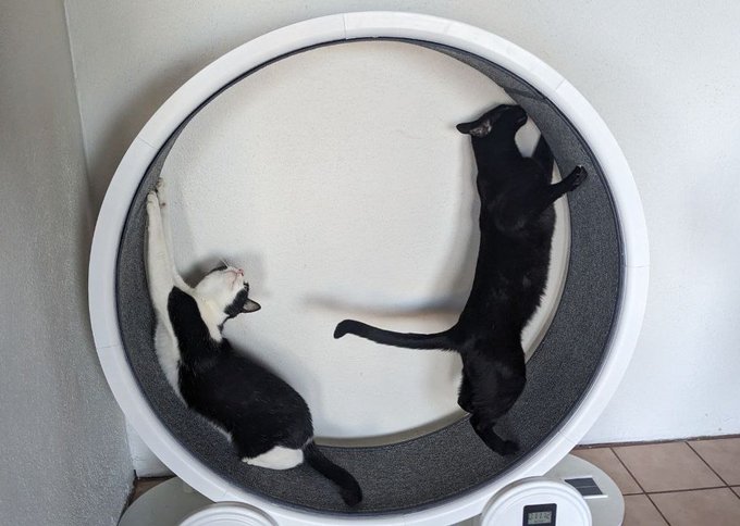 My little dudes https://t.co/jvn03XURiV