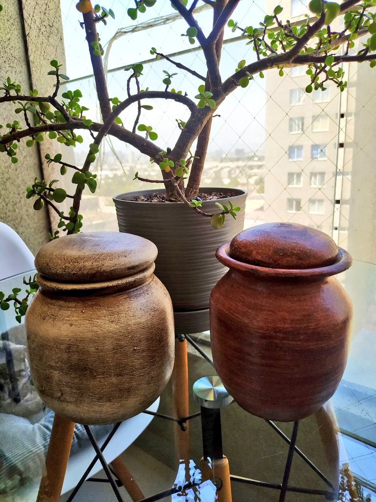 AnimalParaíso tweet media