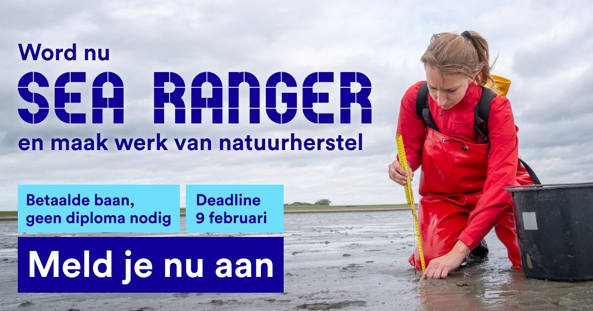 📣 Unieke baan: word Sea Ranger en zet je in voor natuurherstel 🌊🌱 Deadline voor inschrijven 9 februari nl.searangers.org/bootcamp