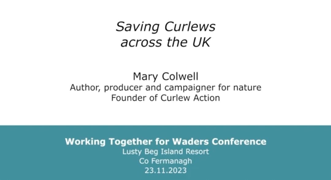 Delighted to announce the presentations from our recent Working Together for Waders conference are now available online. Check out the fantastic key note presentations... youtu.be/oXiTT9swTYY?si…