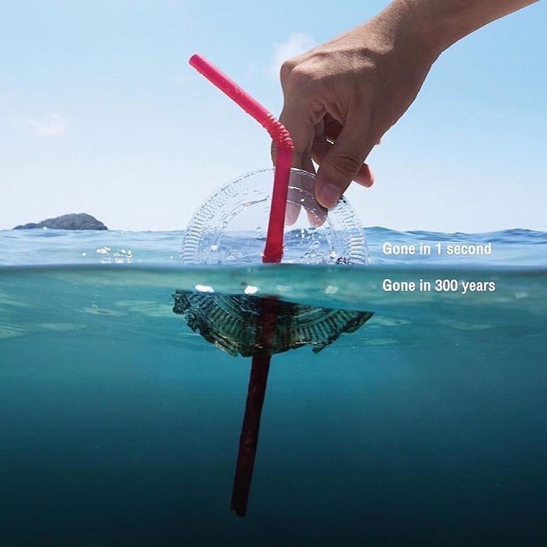 ecofriendlyfact's tweet image. Every piece of plastic that’s ever been created still exists in our world. Whether it’s ‘gone’ in 450 years or 1,000 years, plastic items will outlive us all 💀
.
.
.
Read more : ecofriendlyfact.com

#plasticpollution #uselessplastic #climatechange #reducewaste