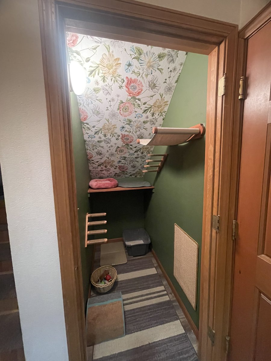 bunny66292076's tweet photo. Latest DIY! #catroom
Me and @shaiimckoy turned our downstairs storage space into the Kitty Room and so far…. Todd loves it! https://t.co/JJYKvtzmZA