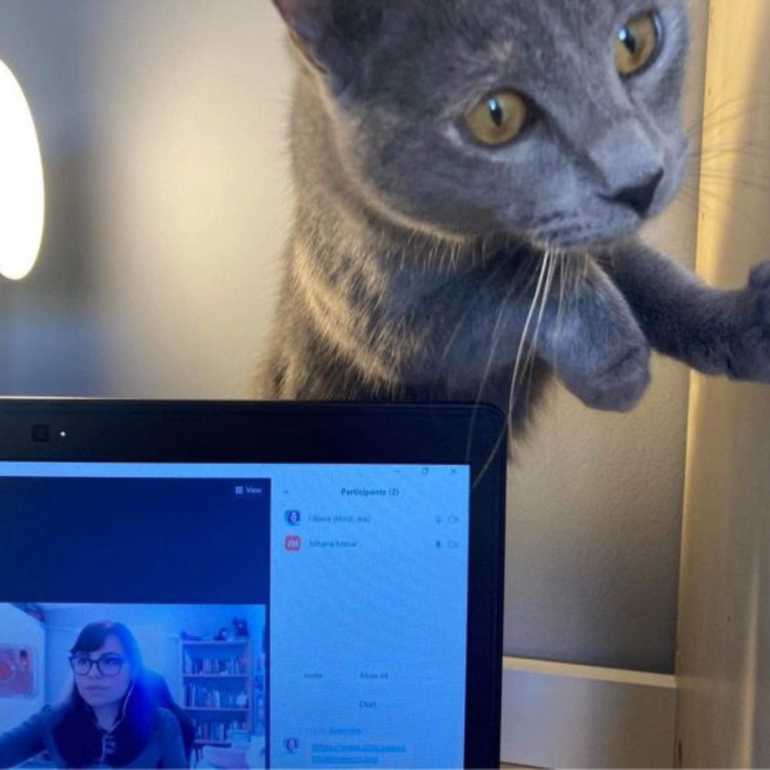 Liliana López León @KittyLily1Q84 ✨ instagram.com/p/C2sgN6cubPv/…