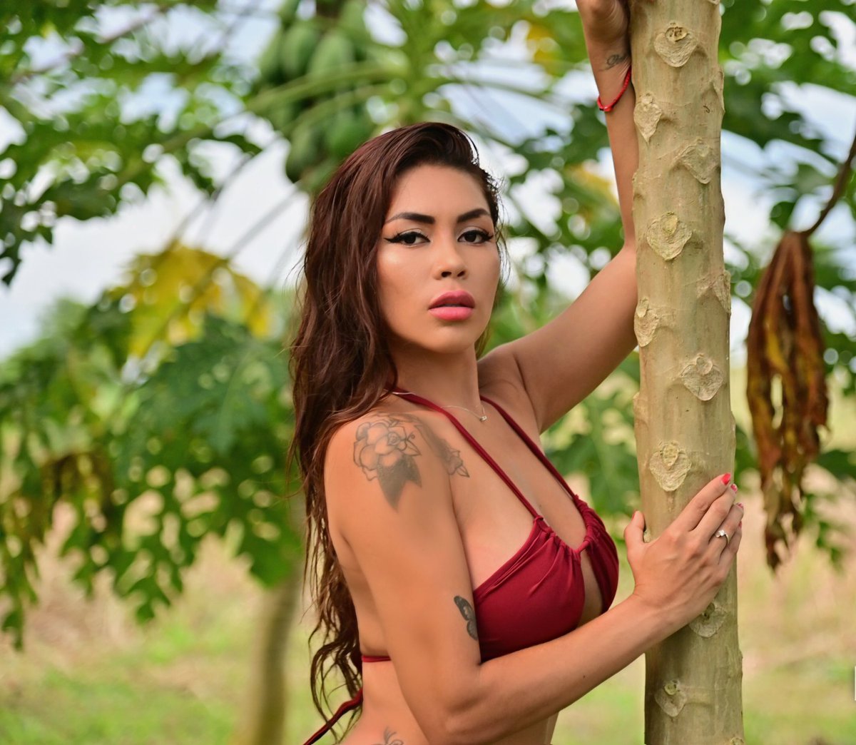 Sandra mathews tweet media