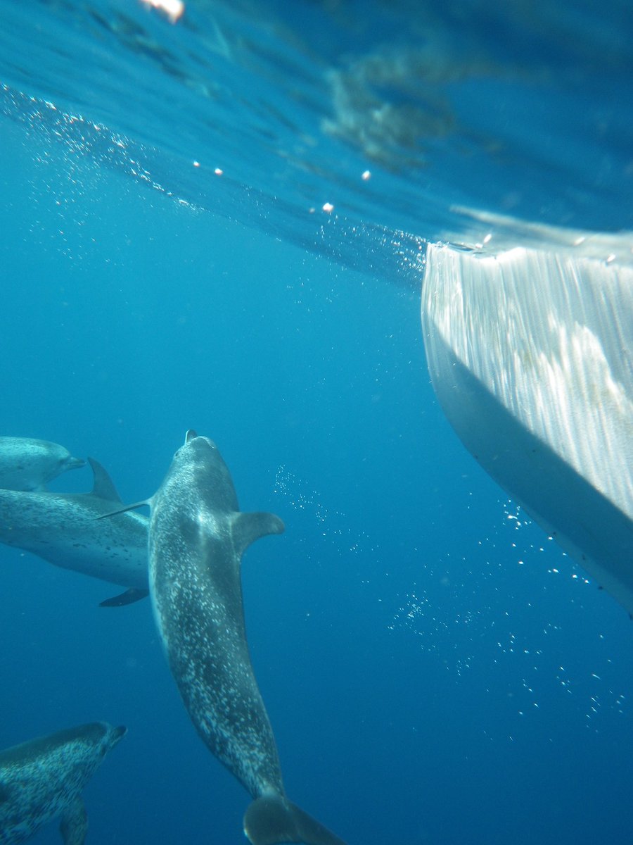 Lloyd Figgins tweet media